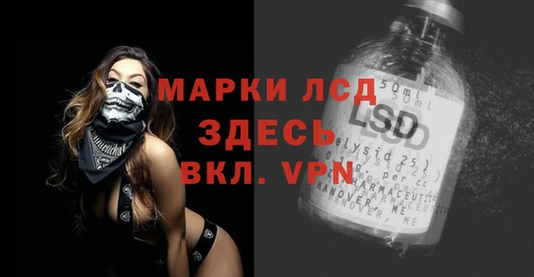 PSILOCYBIN Горняк