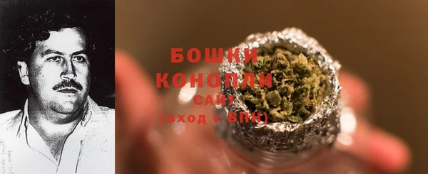 PSILOCYBIN Горняк
