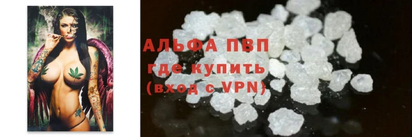 PSILOCYBIN Горняк