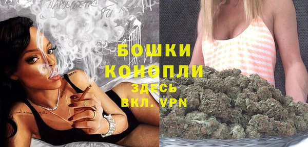 PSILOCYBIN Горняк