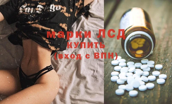 PSILOCYBIN Горняк