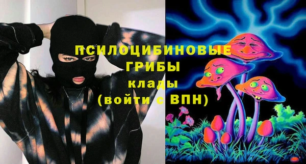 прущая мука Горно-Алтайск