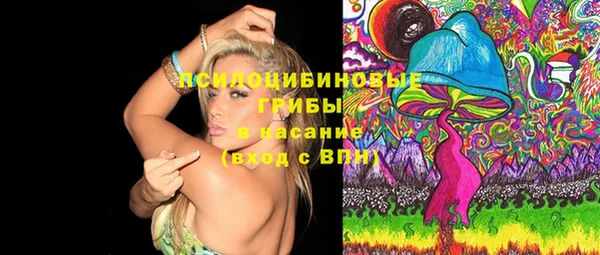 PSILOCYBIN Горняк
