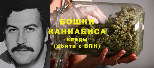 PSILOCYBIN Горняк