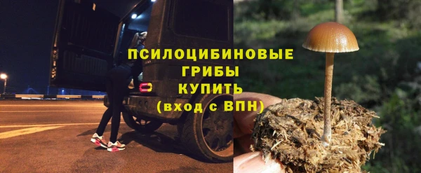 PSILOCYBIN Горняк