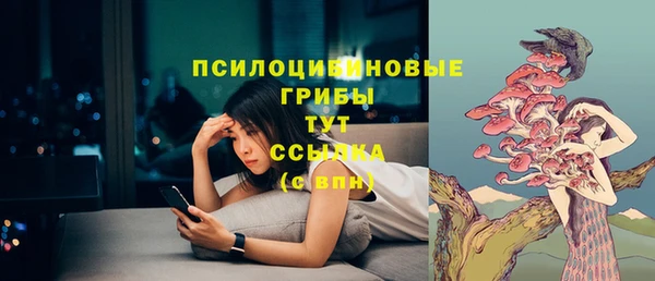 PSILOCYBIN Горняк